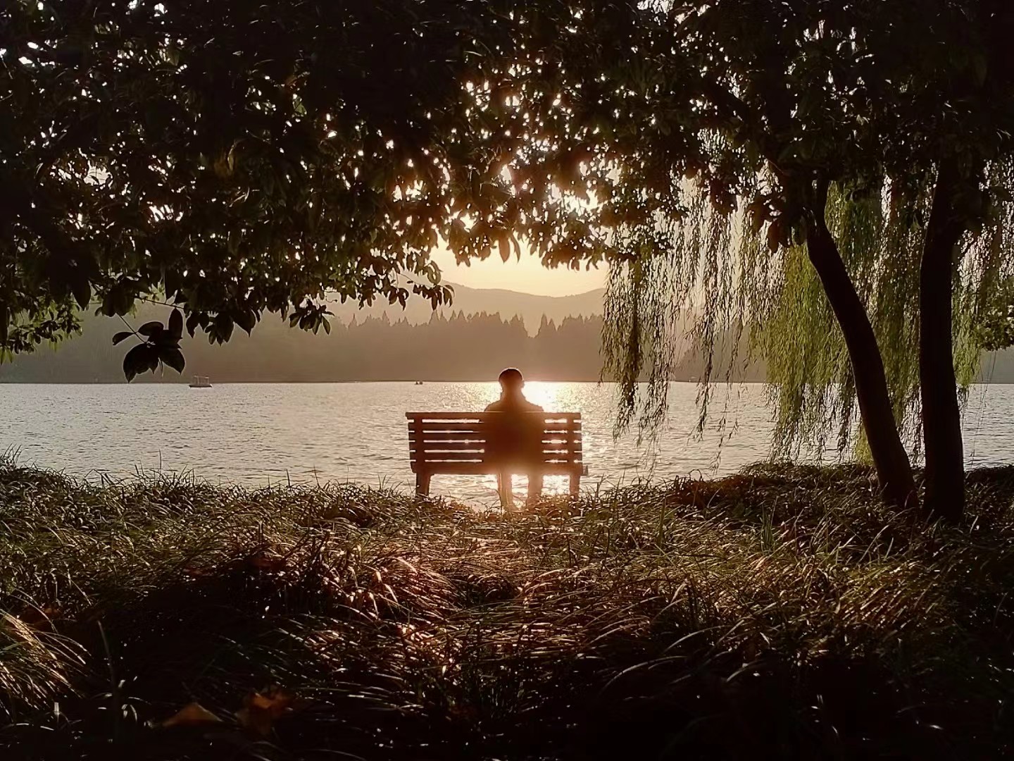 场边视角：20分钟的人生快充在公园里悄然发生